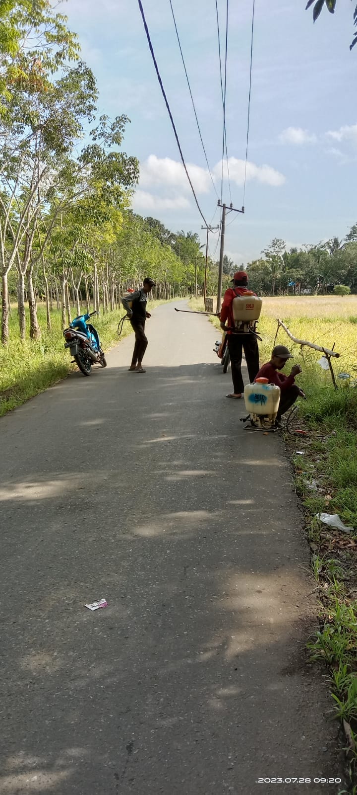 KEGIATAN JUMAT BERSIH DESA MANGKALAWAT